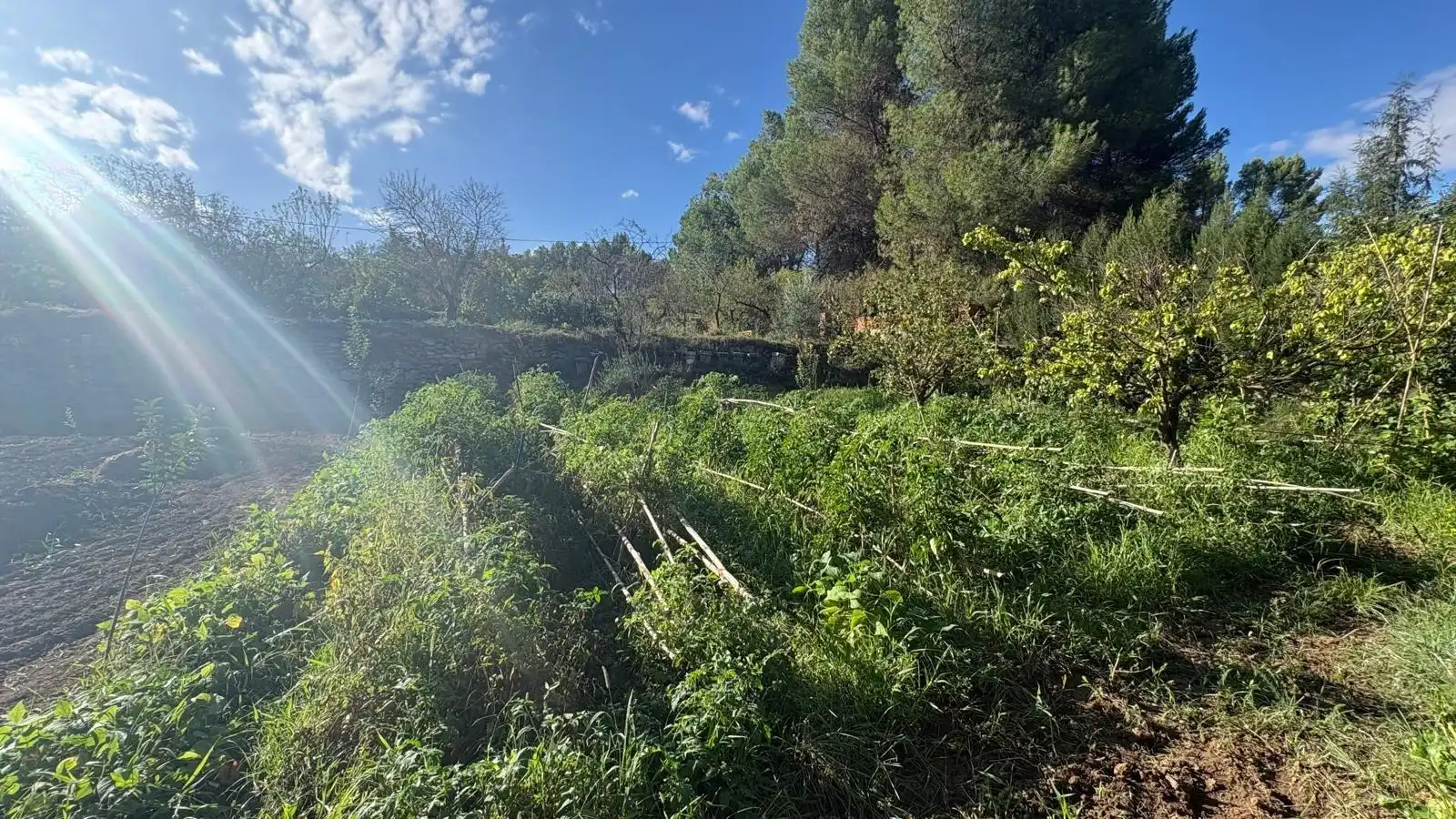 Villa avec piscine à vendre à Almansa, imagen 8