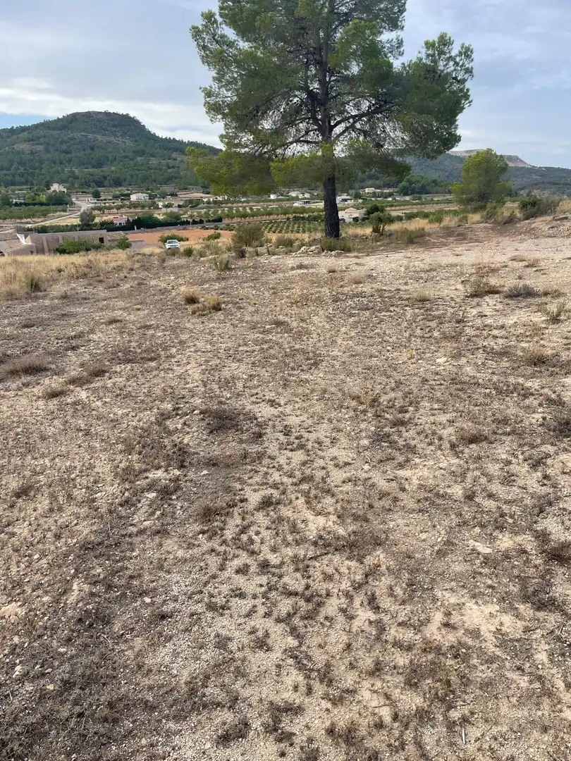 Wohnbaugrundstück zum Verkauf in El Pinós / Pinoso, imagen 28