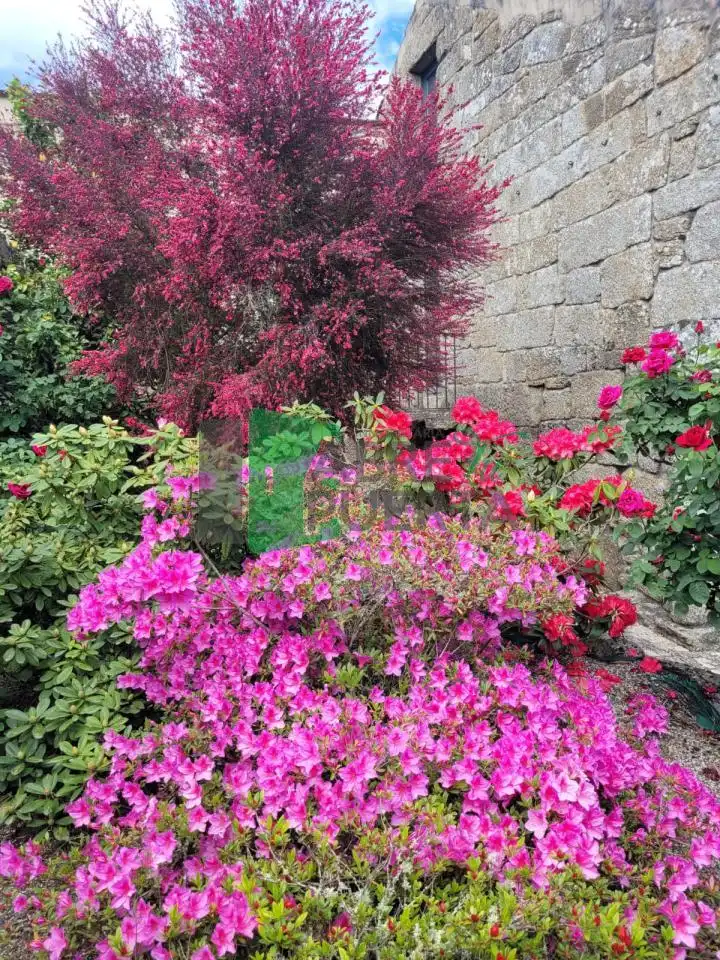 Garden of Country homes for sale in Beade   with Heating and Private garden