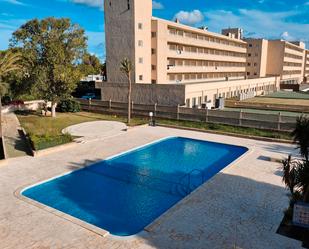 Swimming pool of Study for sale in Manacor  with Terrace