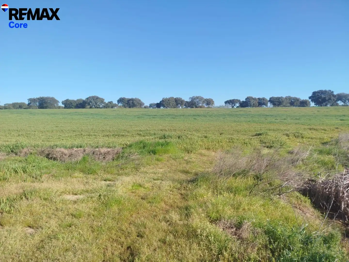 Land for sale in Mérida