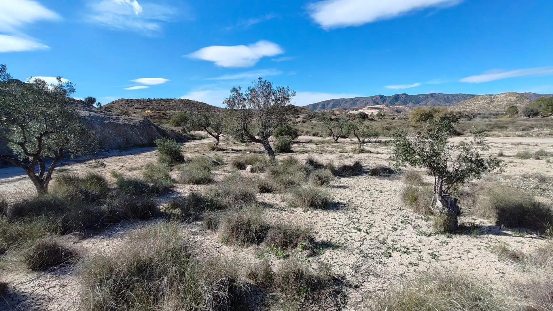 Terreno rustico in vendita a Campo Alto - Club de Campo, imagen 6