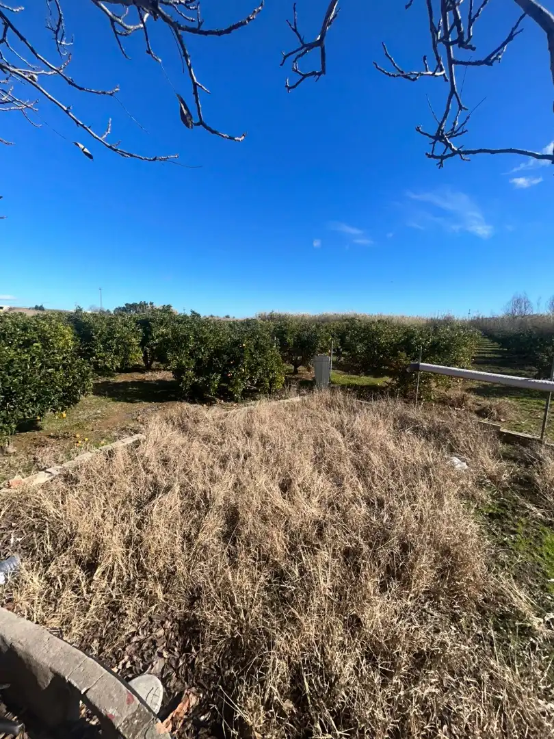Finca rústica en venta en Calle San Miguel, 16, Massalavés