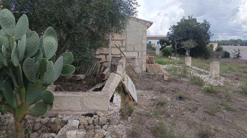 Foto 4 de Finca rústica en venta en Sineu, Illes Balears