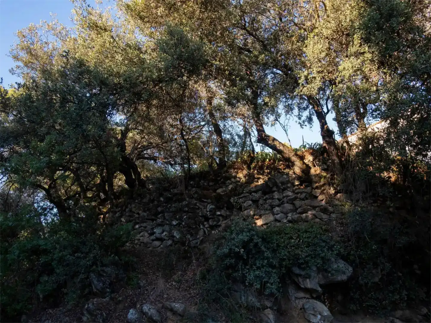 Casa o chalet en venta en Santo Tomé