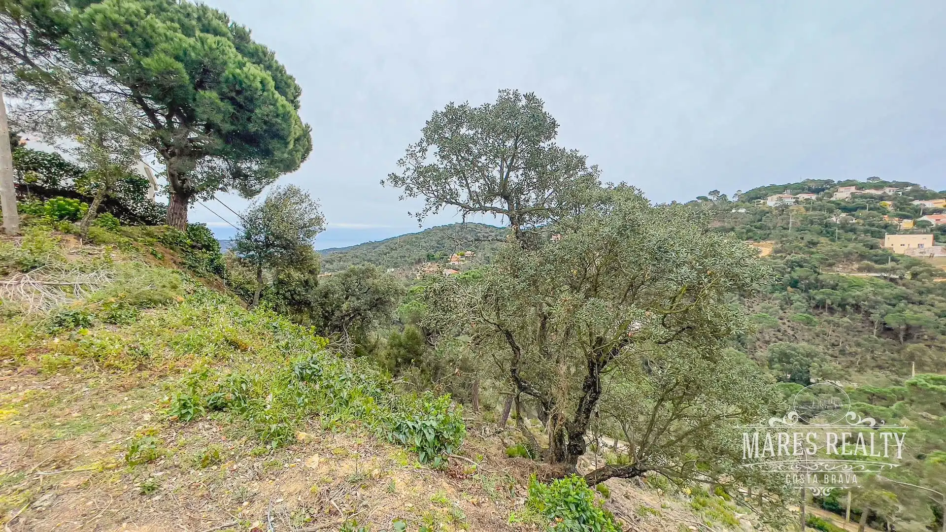 Terrenos y solares en venta en Serra Brava, imagen 10