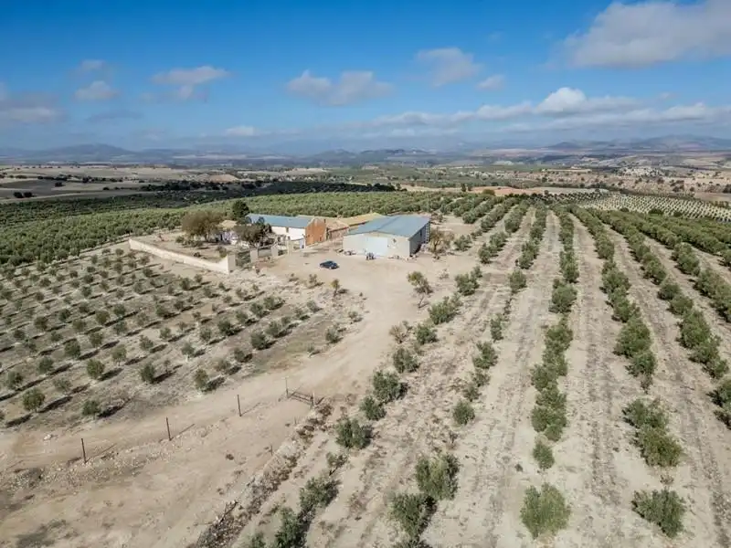 Land for sale in Alamedilla