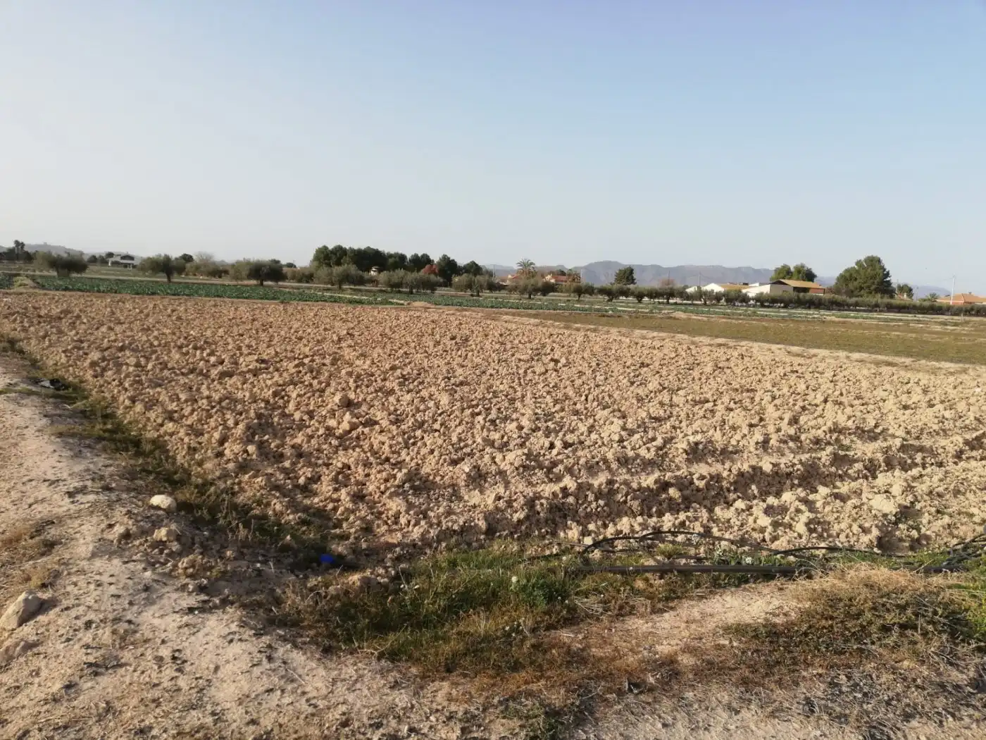Terreny residencial en venda a Pedanías Centro, imagen 4