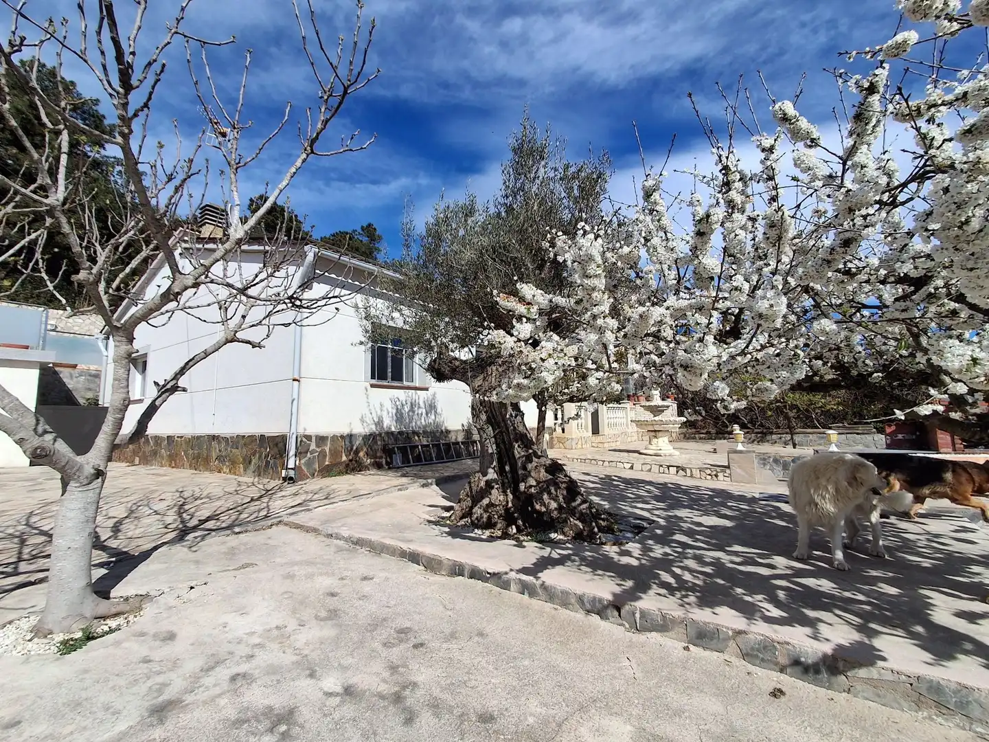 Exterior view of Houses for sale in Vidreres  with Heating, Private garden and Swimming Pool