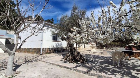 Photo 5 of Houses for sale in Aiguaviva Parc, Vidreres