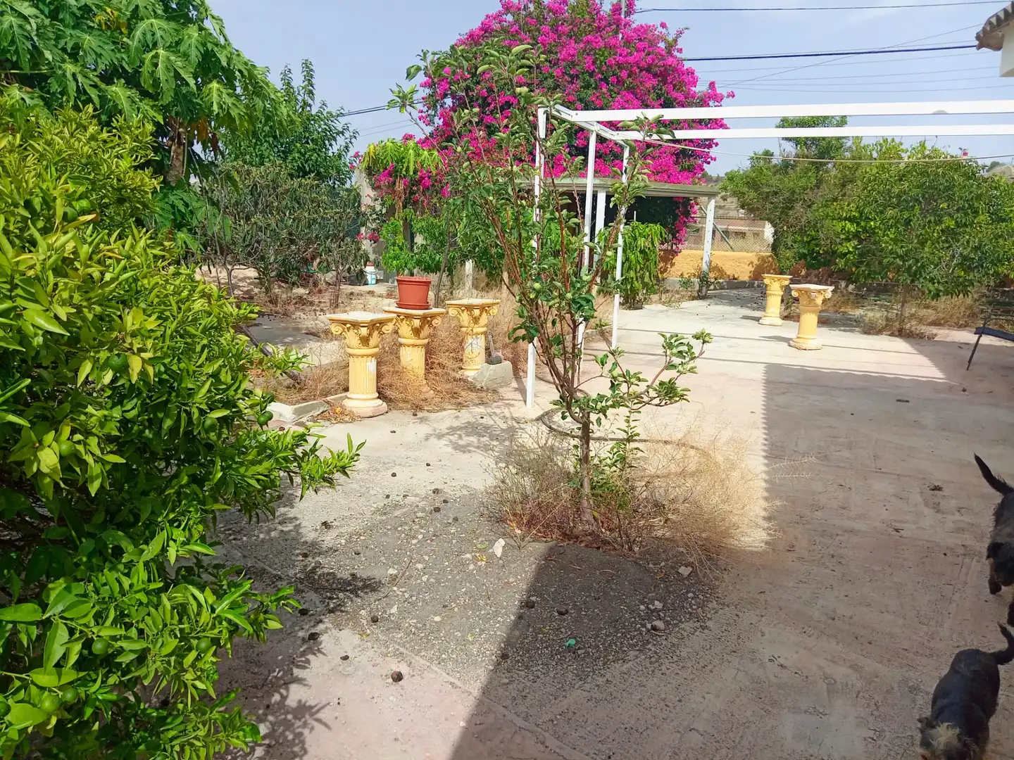 Casa o chalet en venta en Murcia con Aire acondicionado, Calefacción y Jardín privado