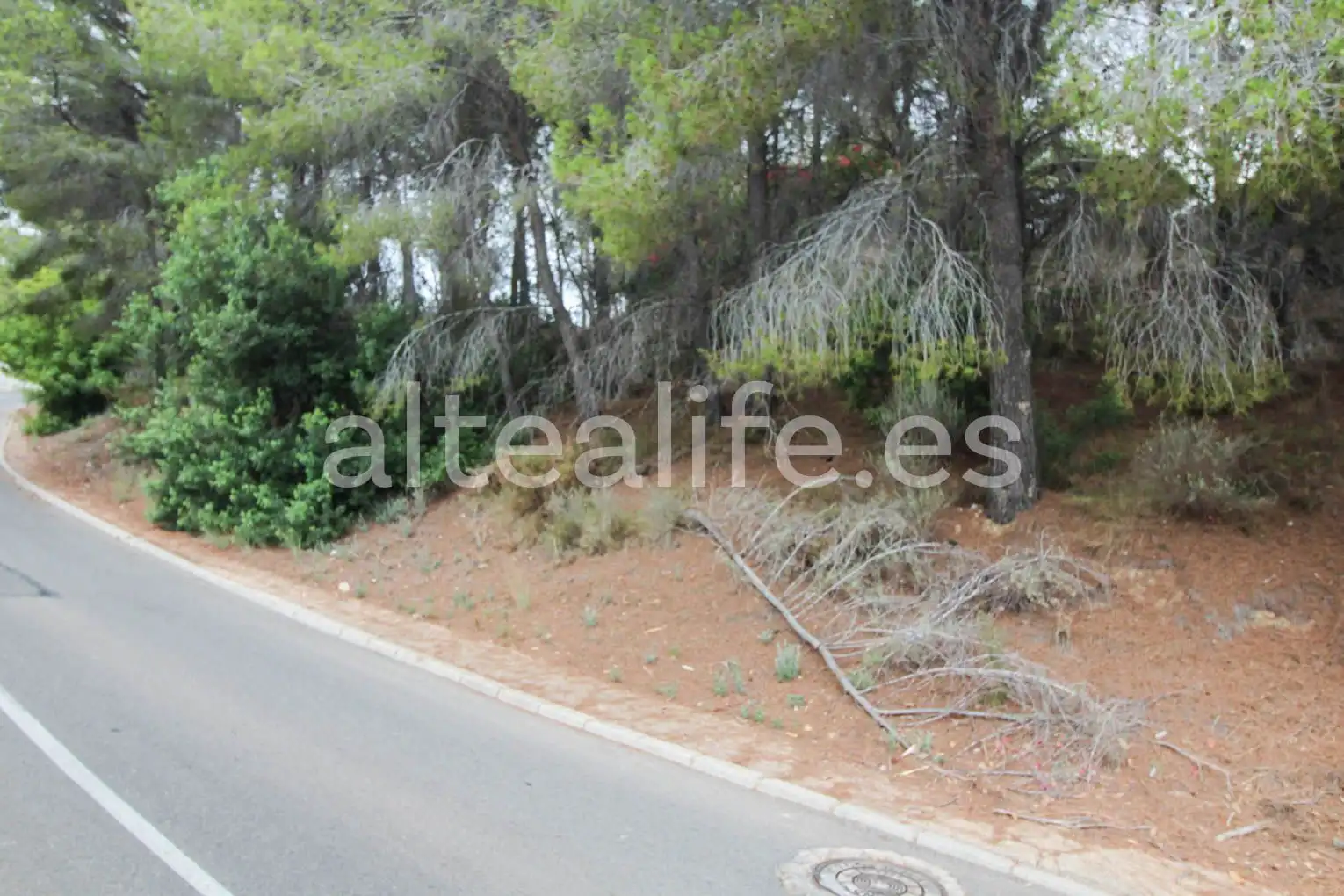 Terreny residencial en venda a Carrer Figuera, imagen 2