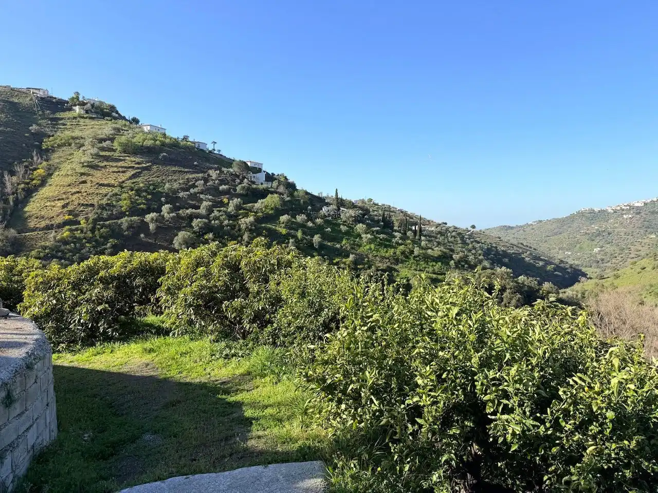 Land for sale in Canillas de Albaida