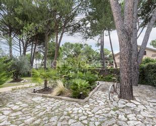 Jardí de Casa o xalet en venda en San Sebastián de los Reyes amb Aire condicionat, Terrassa i Piscina