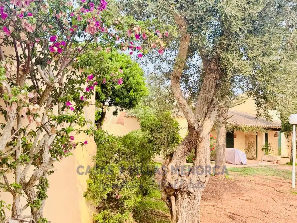 Casa en venda a Calle Carrer De Sa Platja, imagen 31