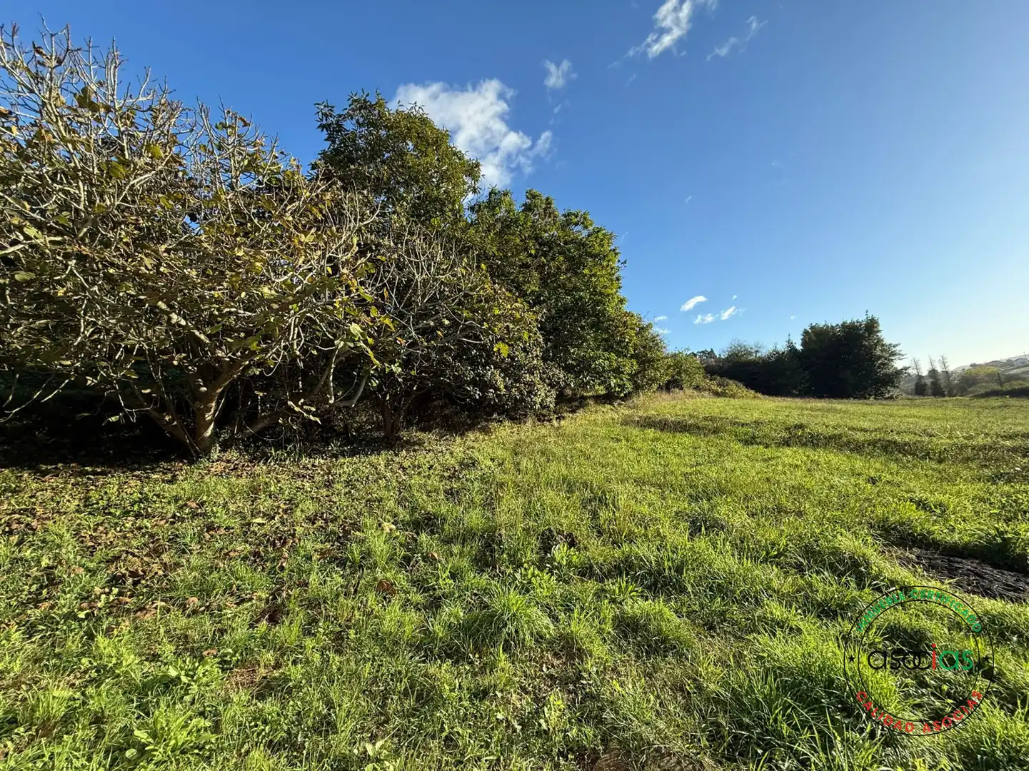 Terreno rustico in vendita a Carreño - Rebollada, imagen 17