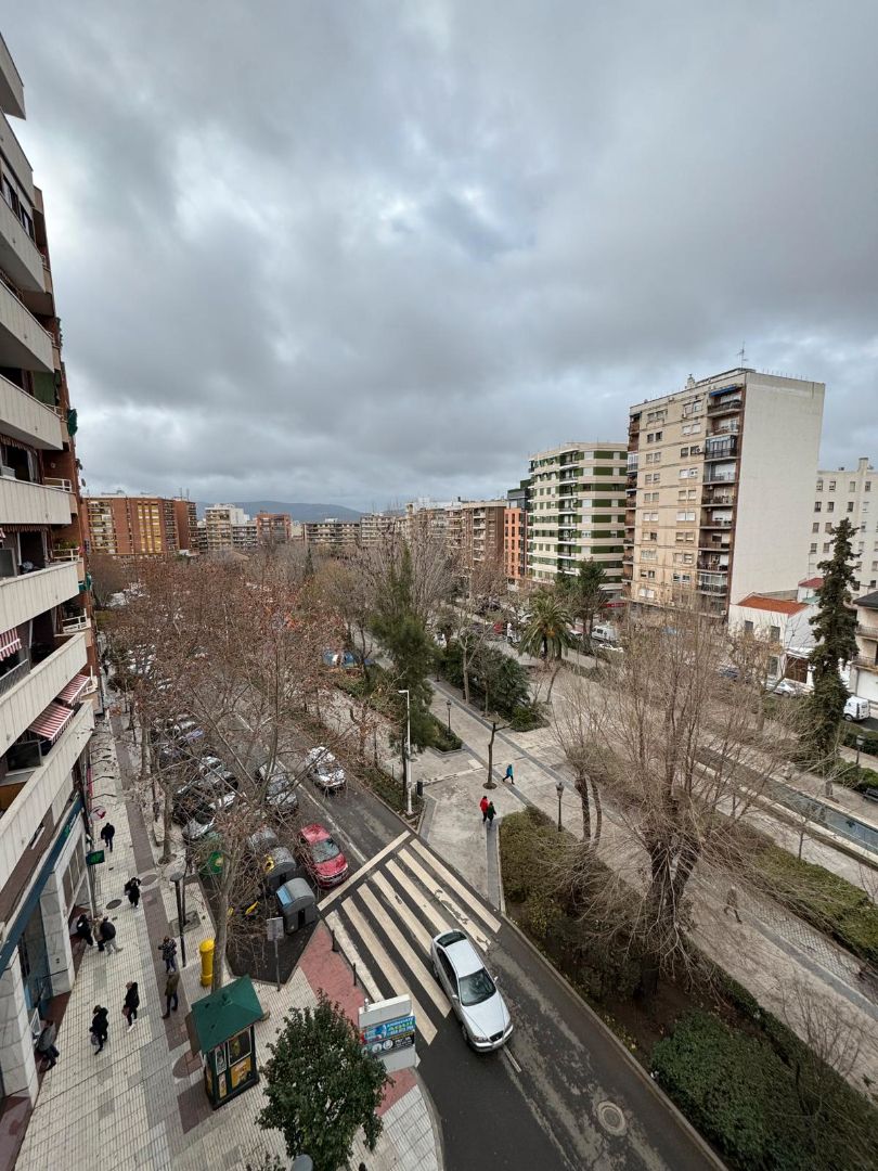 Piso de alquiler en Paseo de San Gregorio, Centro