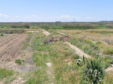 Terrain rustique à vendre à Barrios rurales del norte