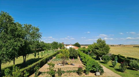 Foto 5 de Finca rústica en venda a Carretera de Madrid, Fuente El Saz de Jarama, Madrid