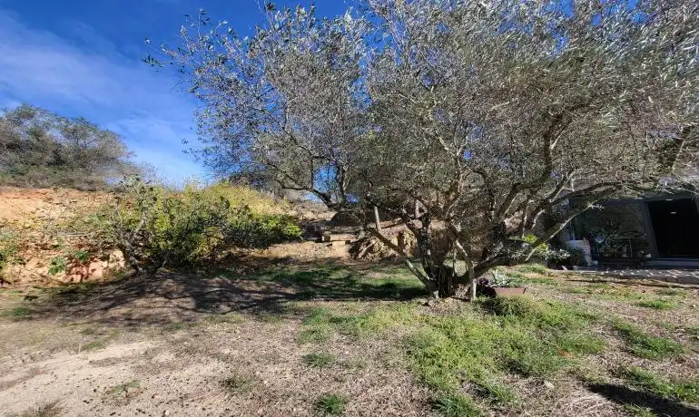 Lands and plots for sale in Garriguella, imagen 45