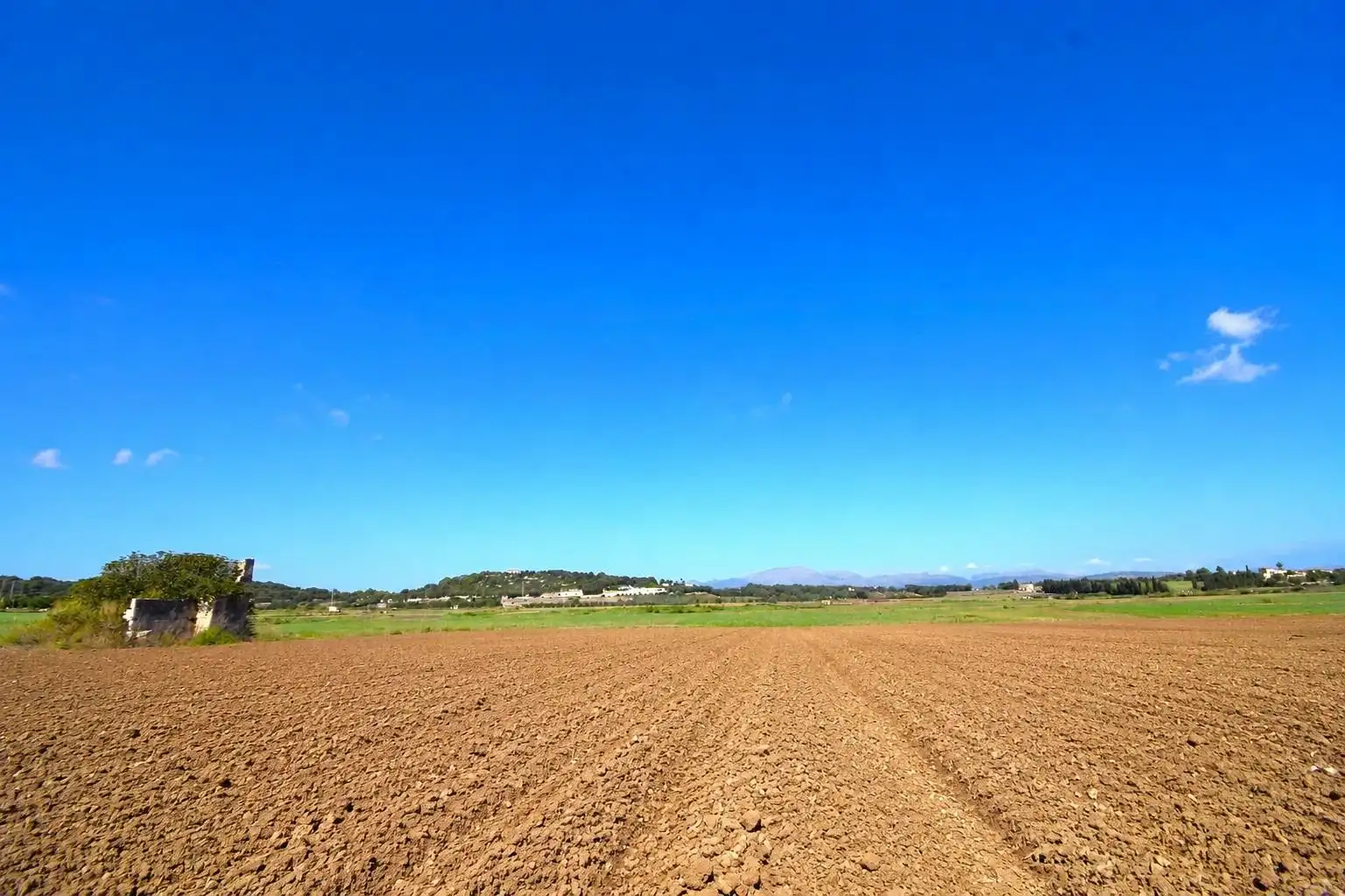 Rural land for sale in Muro, imagen 14