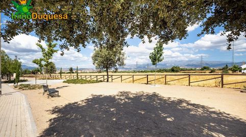 Foto 5 de Finca rústica en venda a Híjar, Las Gabias