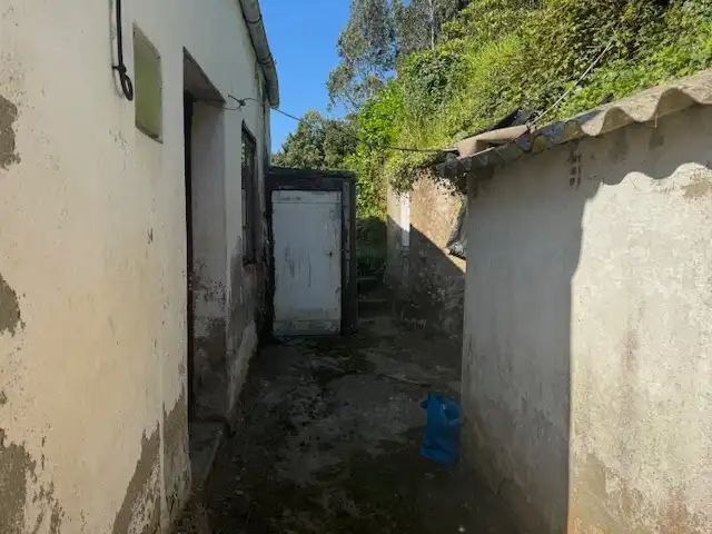 Vista exterior de Casa o xalet en venda en Castropol
