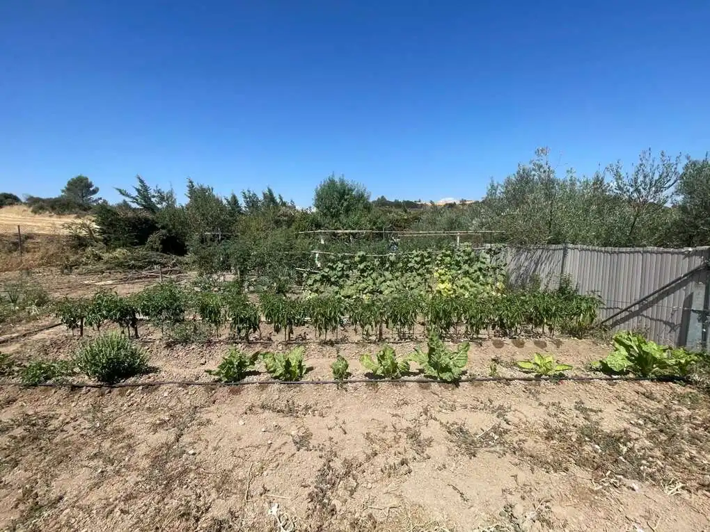 Terreno en venta en Pueyo / Puiu