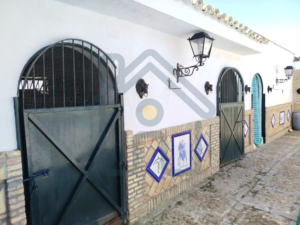 House or chalet for sale in Los Palacios y Villafranca