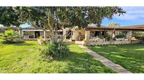 Photo 2 of Country homes for sale in Camino Biniagual, 1, Binissalem, Illes Balears