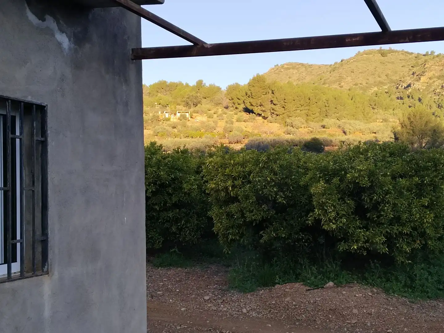 Land for sale in Alfondeguilla