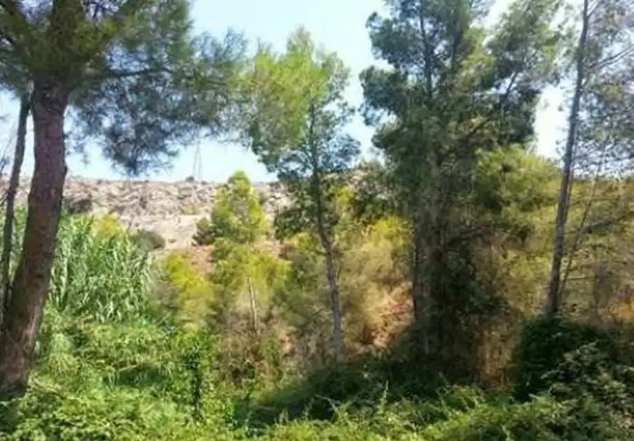 Wohnbaugrundstück zum Verkauf in Mascarat, imagen 5