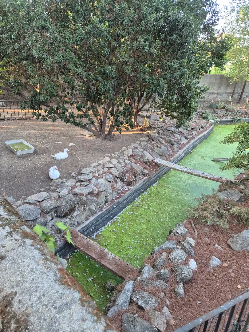 Garten von Wohnung zur Miete in Las Rozas de Madrid mit Klimaanlage, Heizung und Terrasse