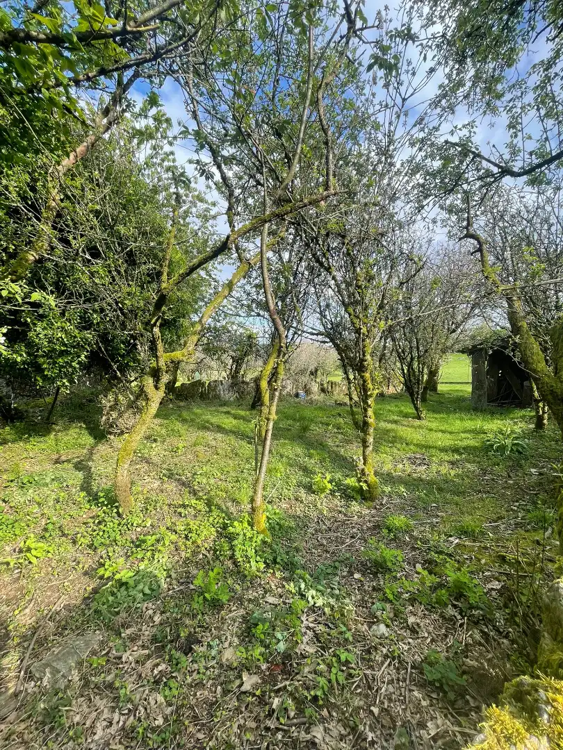 Finca rústica en venda en O Irixo amb Calefacció, Jardí privat i Parquet
