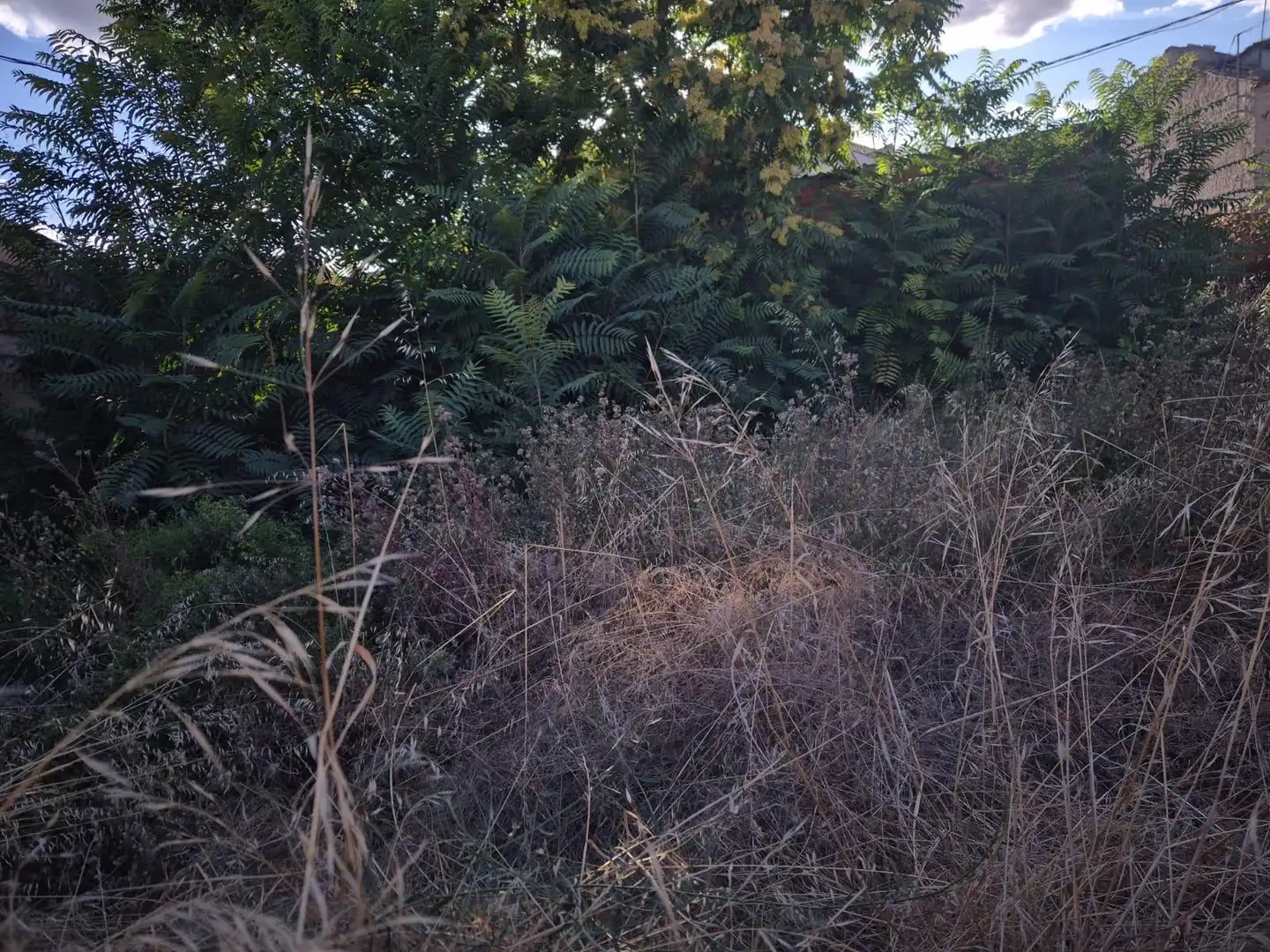 Residencial en venda en Olivares de Duero