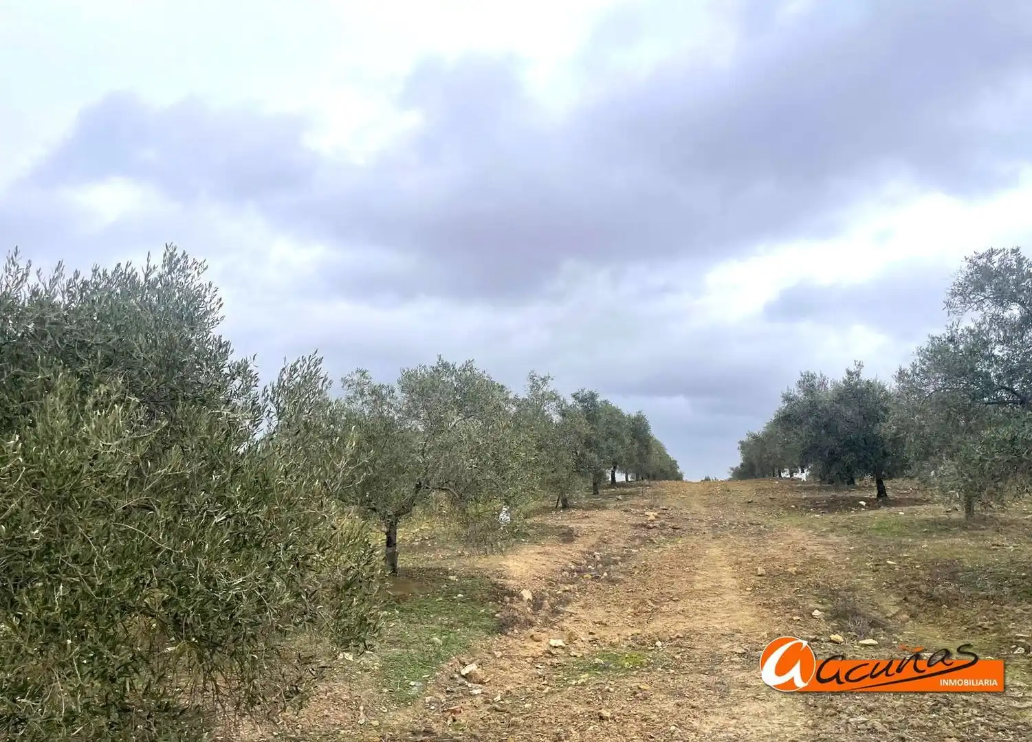 Terrenos y solares en venta en Alameda, imagen 46