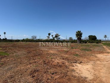 Terreny rústic en venda a Guadassuar