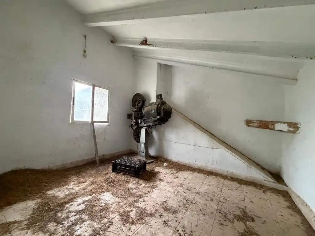 Casa rústica amb terrassa en venda a Altura, imagen 160