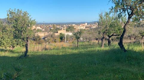 Photo 3 of Land for sale in Diseminado Poligono 9, Zona Periurbana, Illes Balears