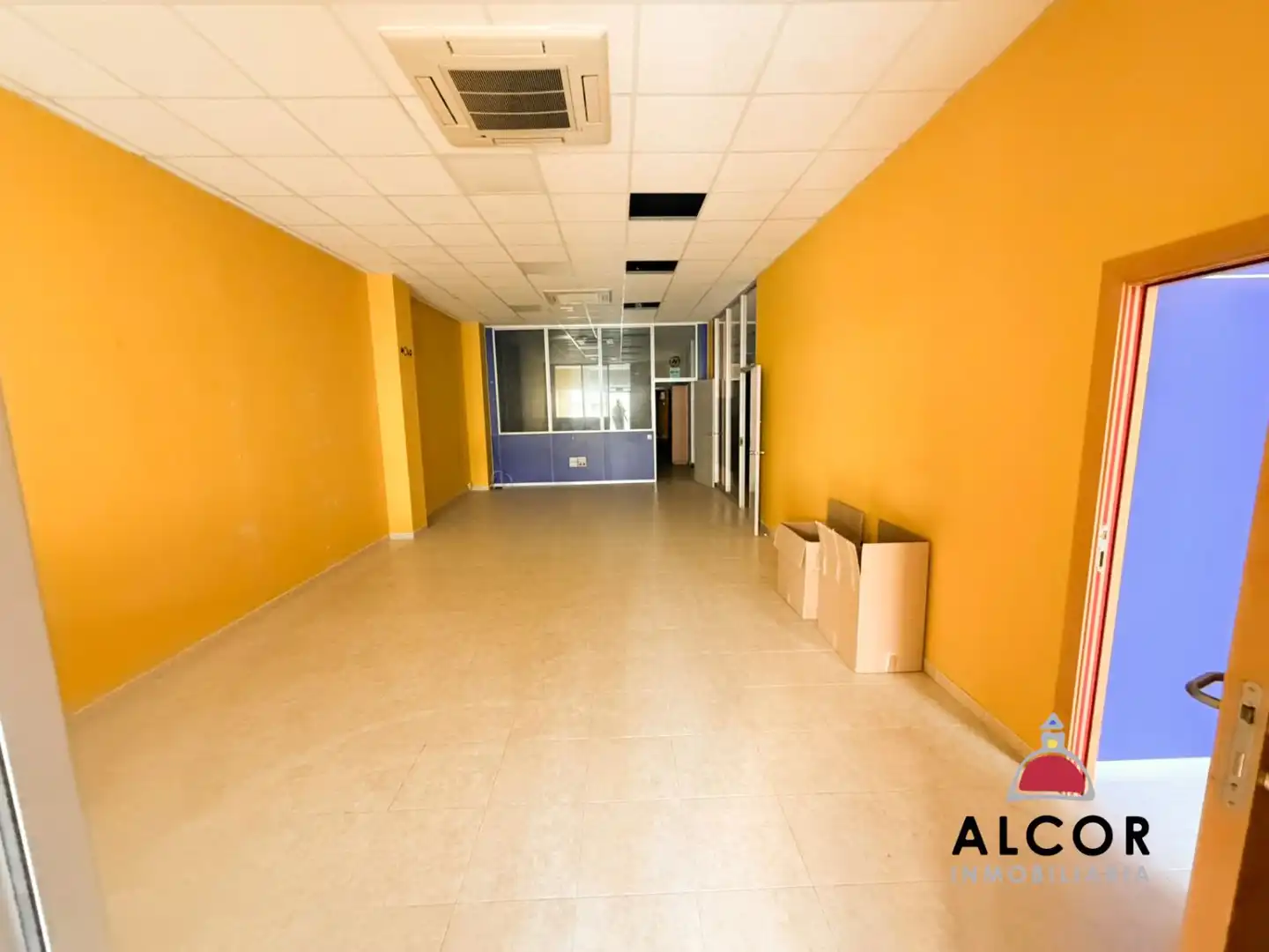 Commercial properties for rent in Puerto