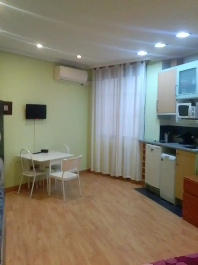 Sala d'estar de Estudi de lloguer en Madrid