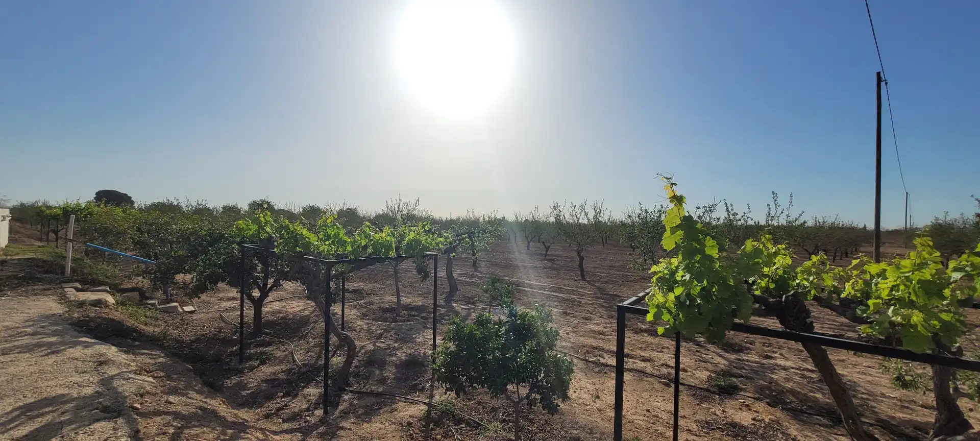 Exterior view of Country homes for sale in Murcia  with Heating, Private garden and Terrace