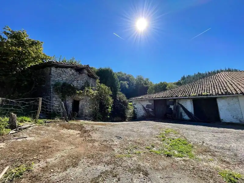 Exterior view of Country homes for sale in Altzo