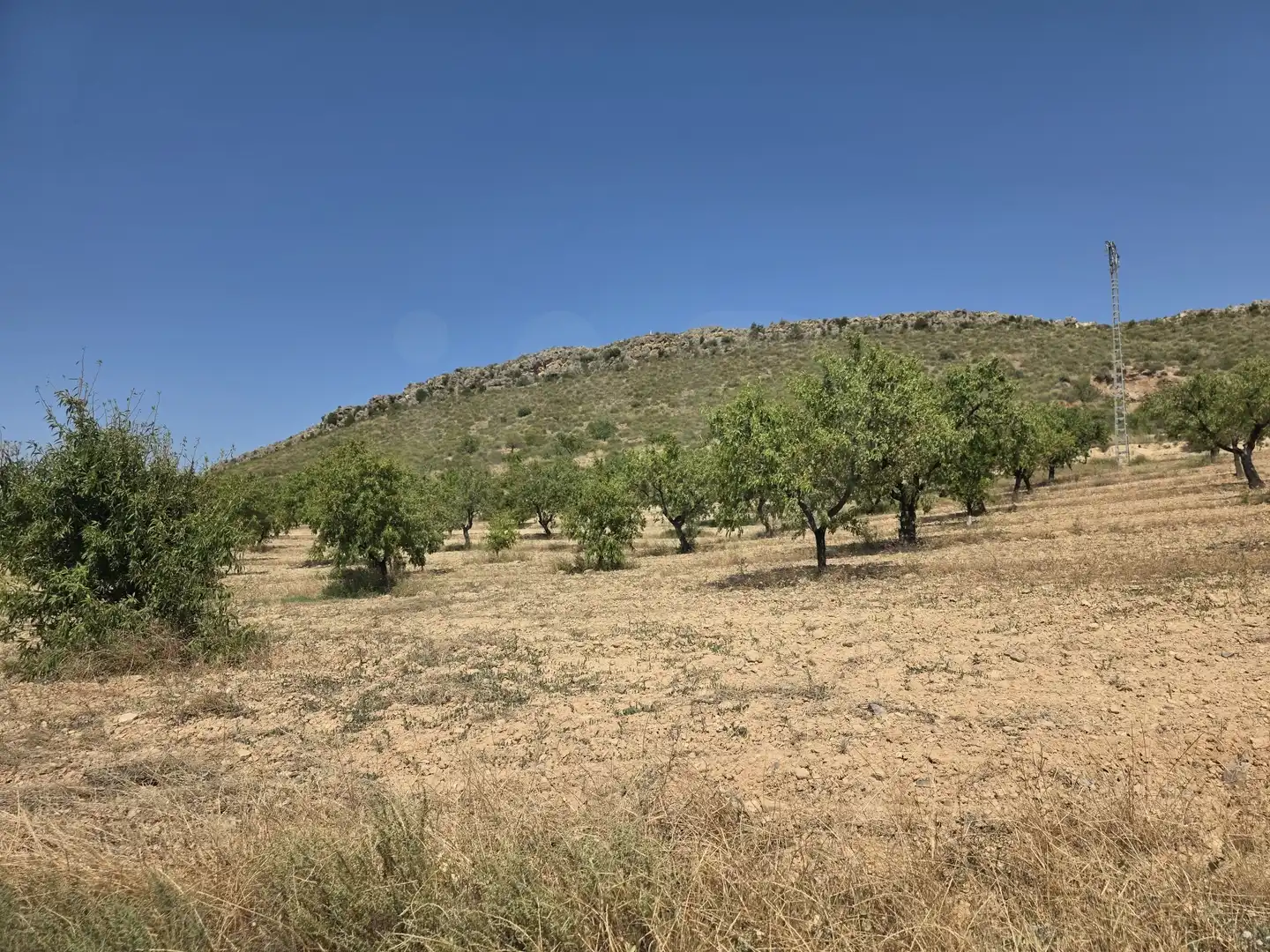 Terrenys i solars en venda a Cehegín, imagen 7