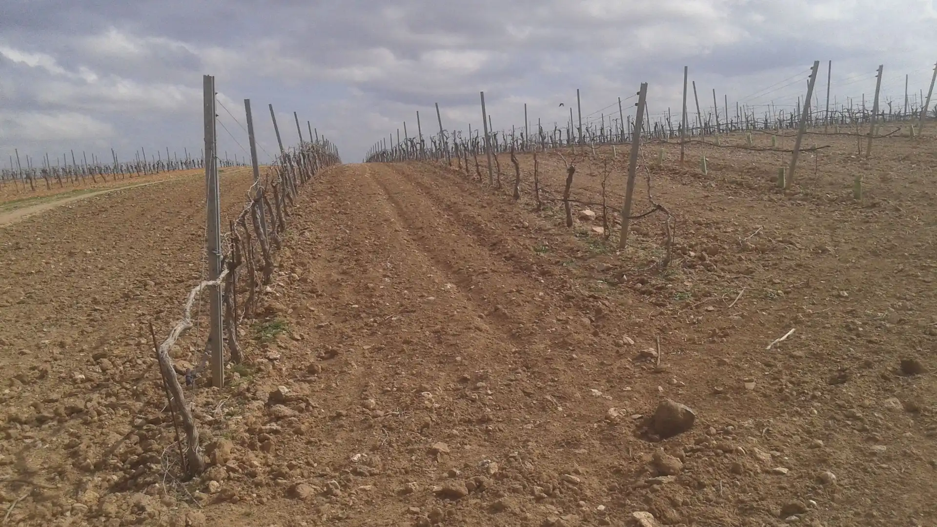 Terrenys i solars en venda a Las Mesas, imagen 16