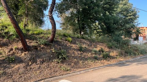 Foto 3 de Residencial en venta en Carrer del Barcelonès, 763, Bescanó, Girona