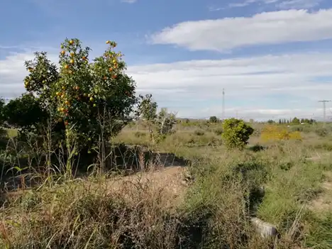 Terreny residencial en venda a Huerto Naranjos, imagen 4