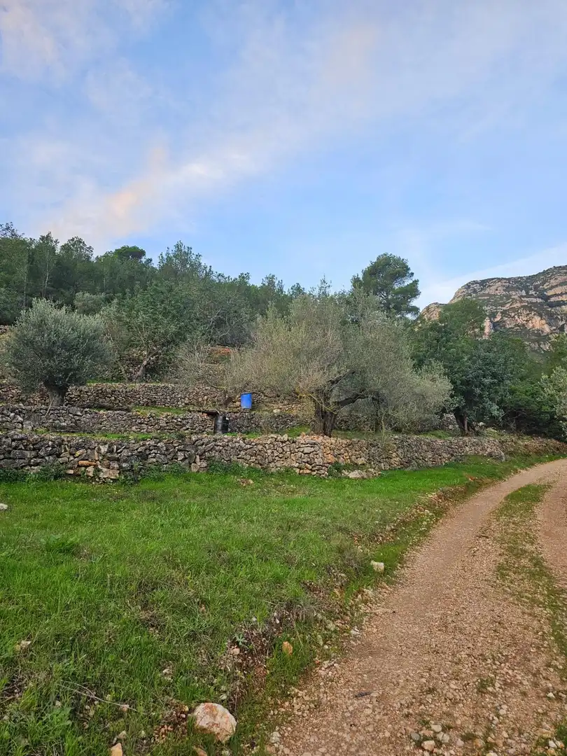 Rural land for sale in Alcanar, imagen 8