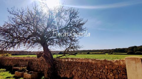 Foto 4 de Finca rústica en venta en Me 15, Es Mercadal poble, Es Mercadal