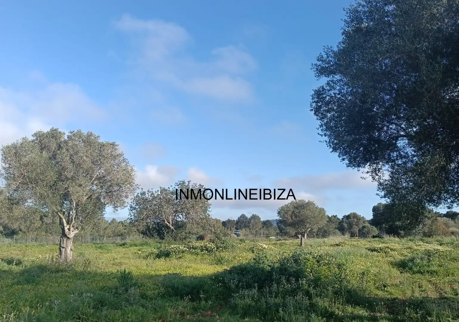 Chalet con piscina en venta en Sant Josep, imagen 2